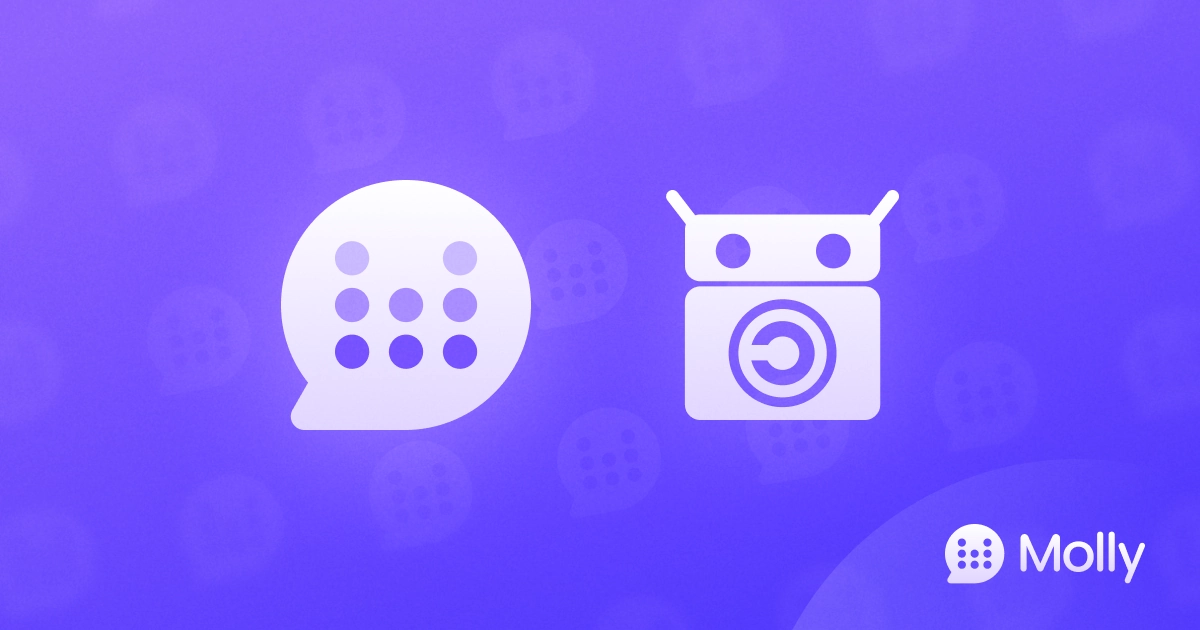 Link Preview Image